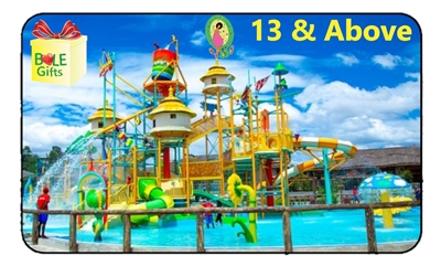 Kuriftu Water Park Adults Ticket